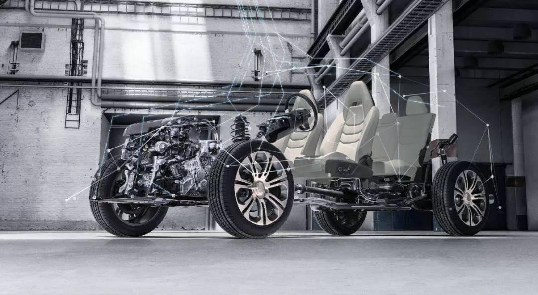 谜语教程，适者生存