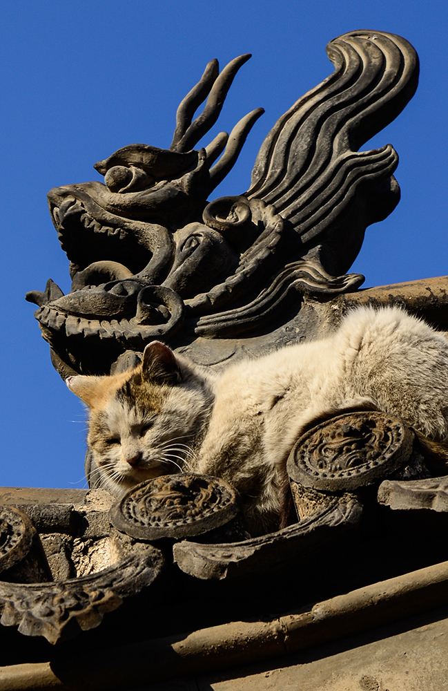 谜面解析，龙虎相随在门前，生死相冲看谁人