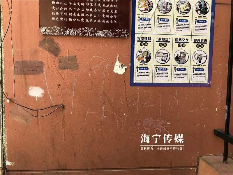 大三巴一肖码管家婆现象深度解析，理性看待博彩技巧的真相与误区