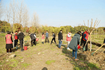 谜趣:今期马虎牛出特,春风豆营抽新绿 谜趣:今期马虎牛出特,春风豆营抽新绿