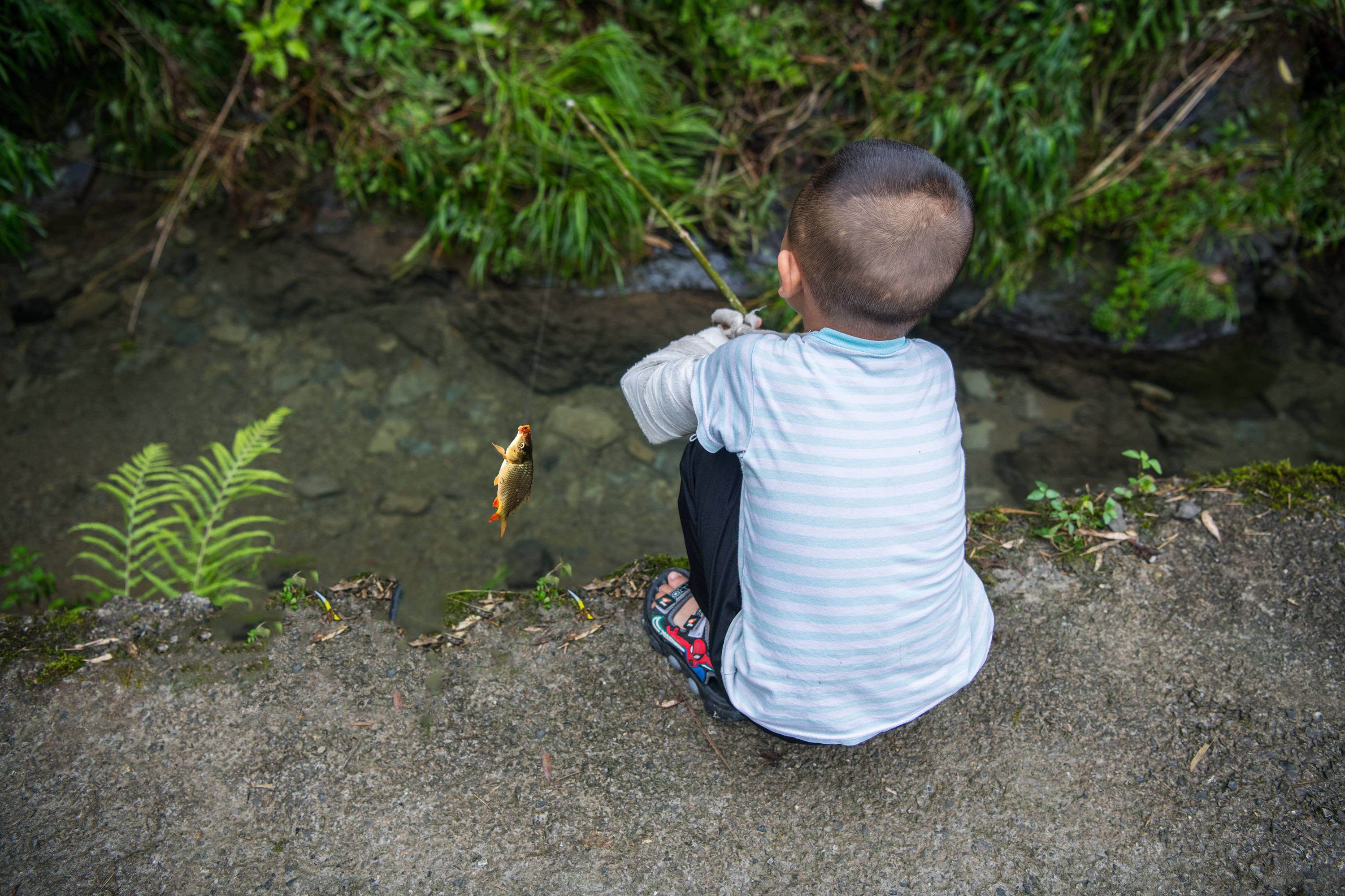 谜语挑战，小童垂钓在湖边，珠字二三势最劲