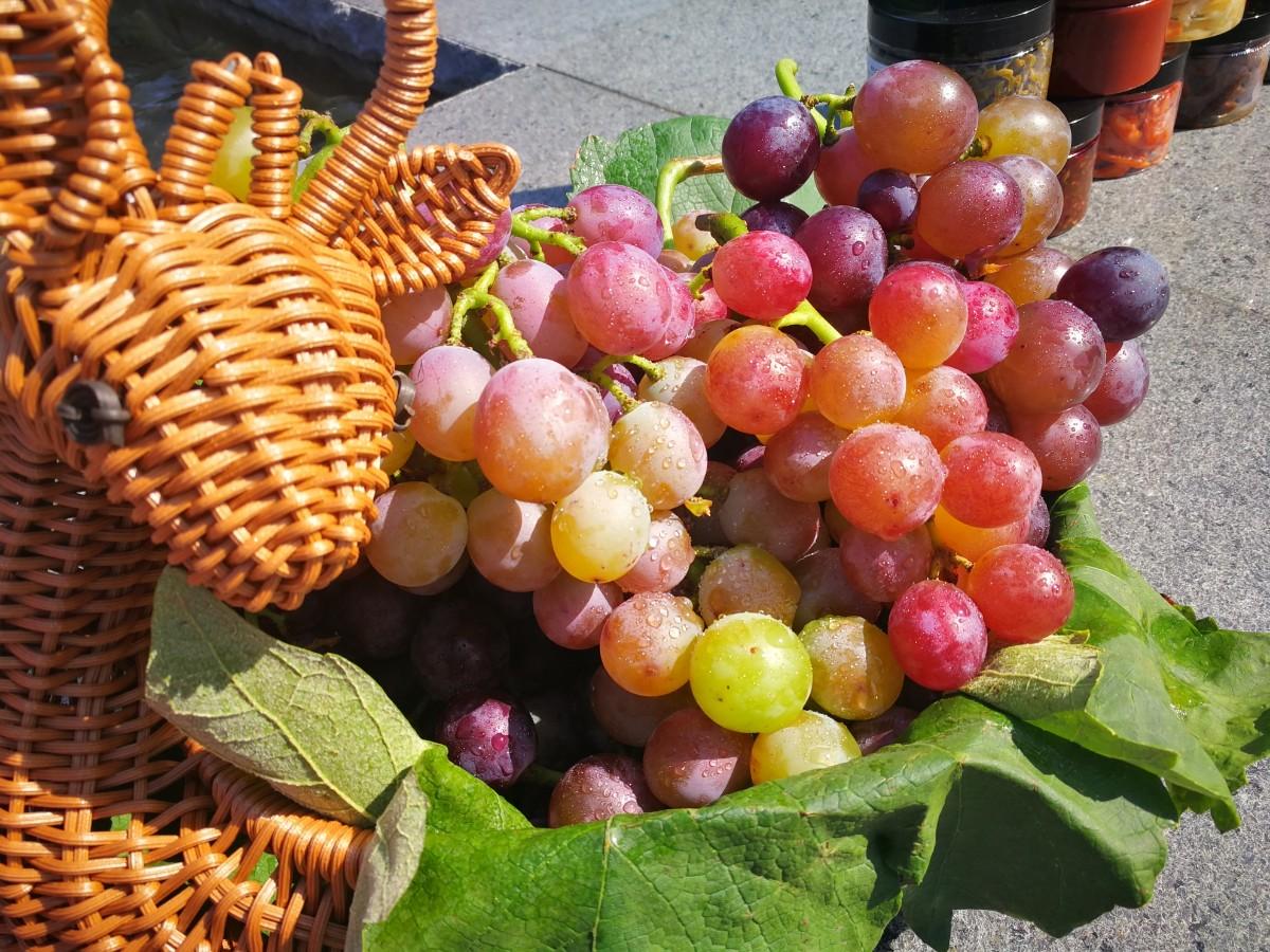 谜语发现:腾云驾雾后接龙，春华秋实猴摘果