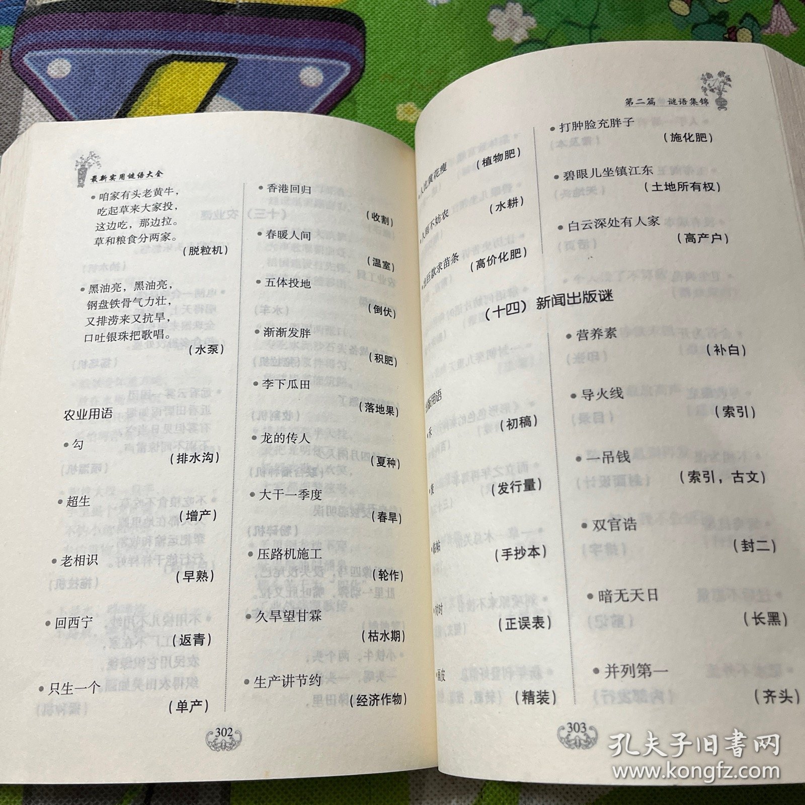 谜语变体，背負重擔頂天踵地问梢头冷蕊疏疏