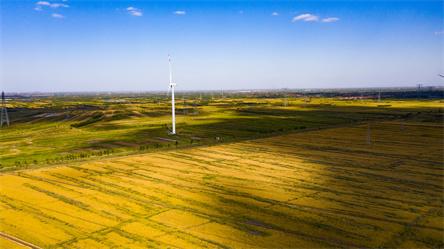 谜语历史，风流倜傥画如生，绿水青山美如画