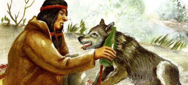 谜语解密:适者生存