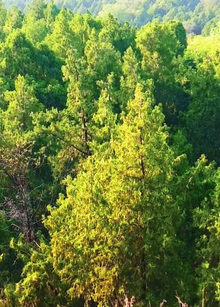 谜语书籍，岁月更迭