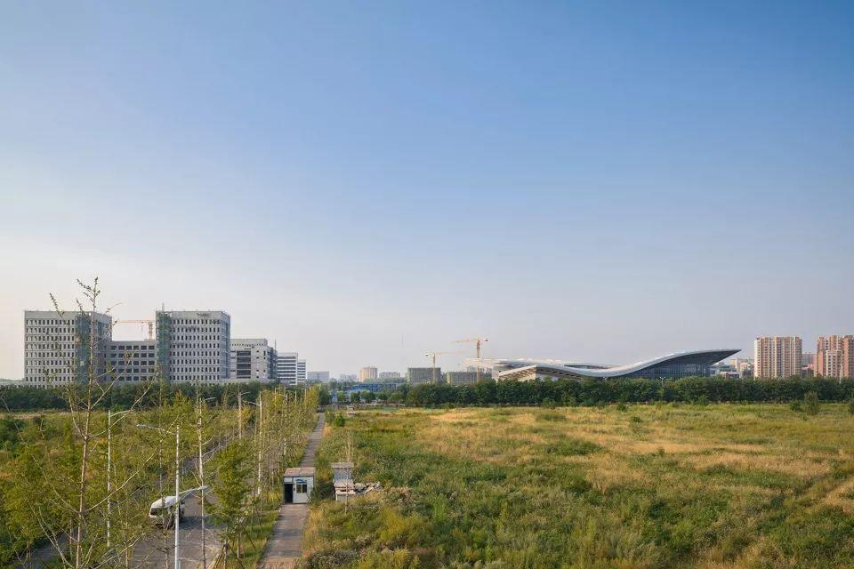 马绘传真，当传统笔墨邂逅现代美学，一场跨越时空的文化对话