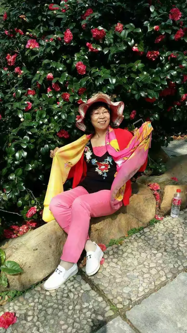 谜团，十八姑娘一朵花，五颜六色景如画—探秘古典文学中的意象与隐喻