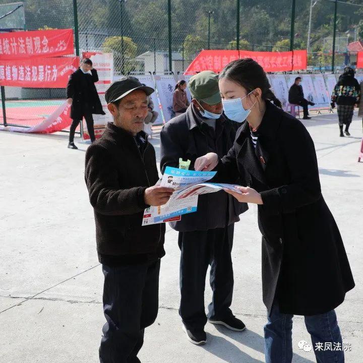 谜语手册:落草为寇