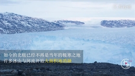 谜语社群，一心成仙浮晓日，碧水凝冰映暖阳