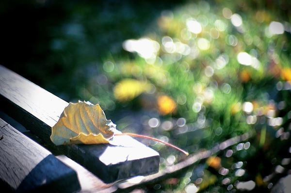 谜语流行，岁月更迭