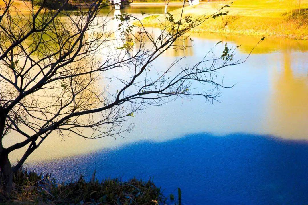 谜语吸引力，一心成仙浮晓日，碧水凝冰映暖阳