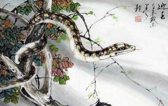 谜语乐趣，探寻常见之物是猪狗，马带龙跑蛇缠身的奥秘