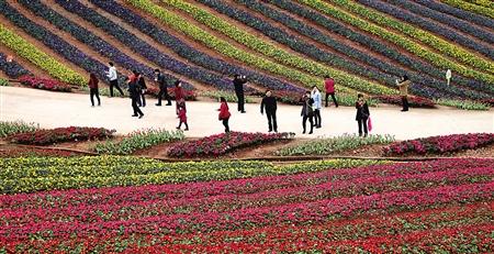 问，春花怒放这一意象，在文学作品中常常出现，它蕴含了怎样的深层含义？