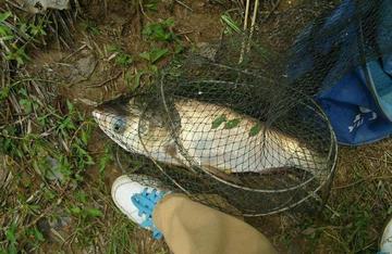 揭秘三中三平码精准预测，科学方法与实战技巧全解析