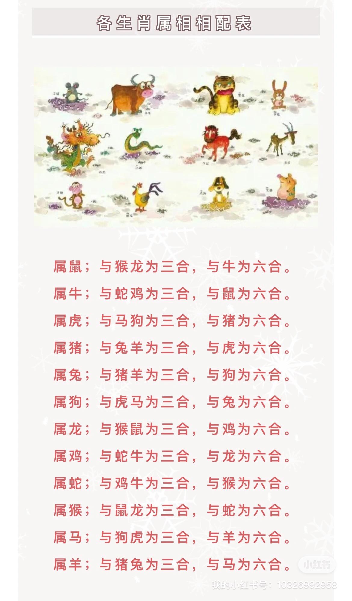 解码六合变三合，传统谜语中的数学智慧与文化密码