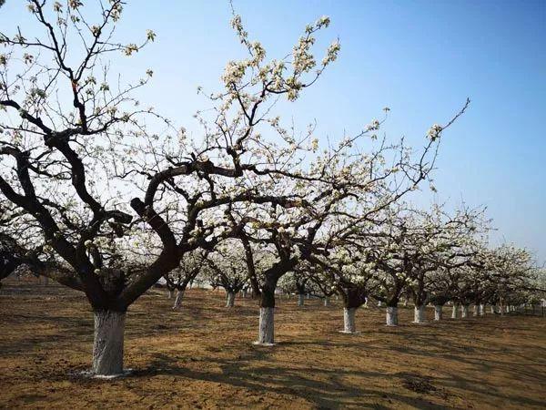 猛虎报资料库，免费资讯的海洋，助你乘风破浪的智慧引擎