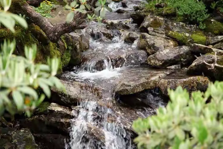 谜语聚会:春风不见寻花伴，左对苍山右流水