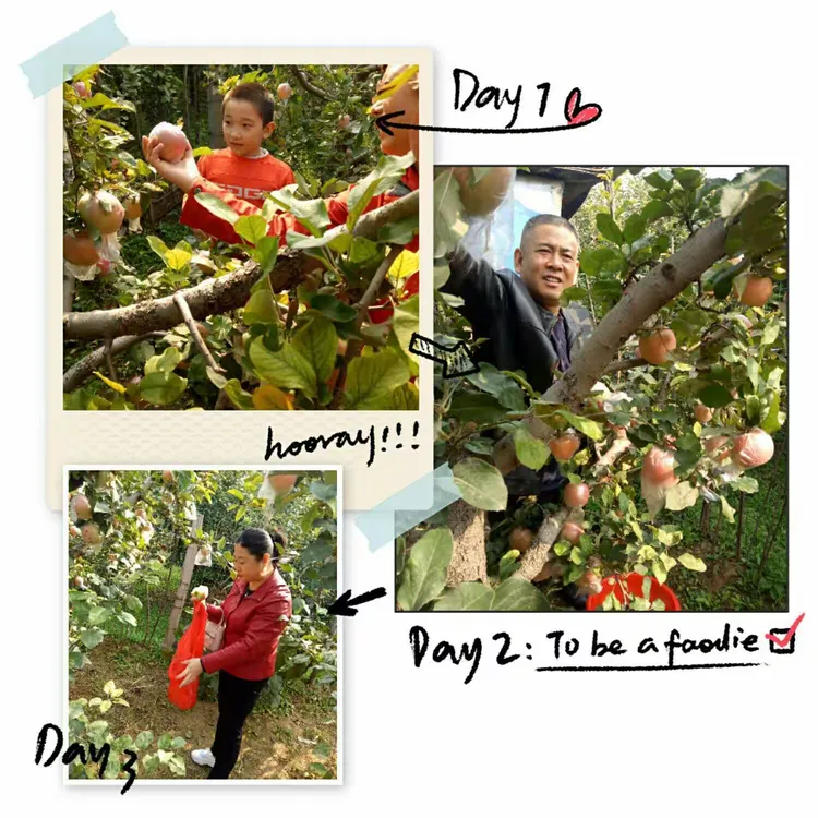 谜语学术:腾云驾雾后接龙，春华秋实猴摘果