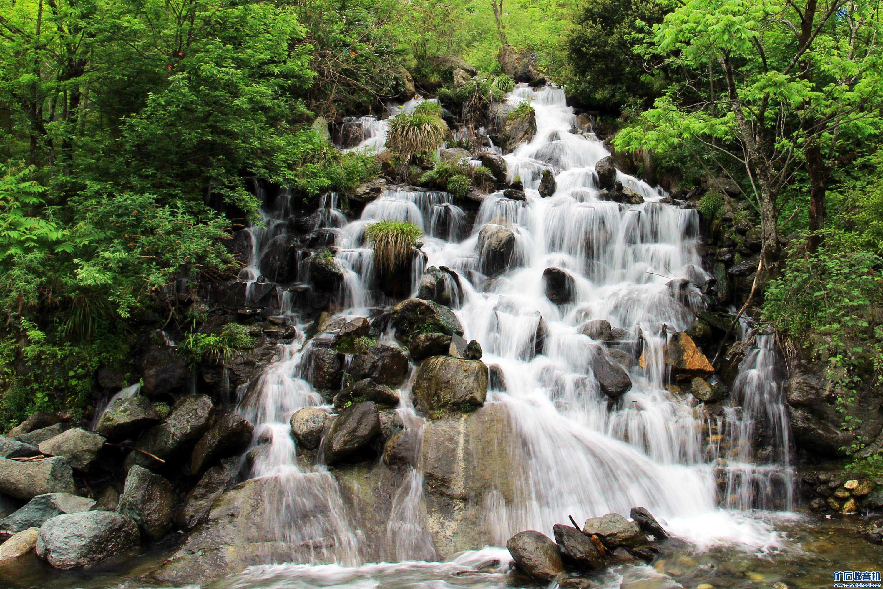 谜语吸引力，红英初绽倚春山，蓝溪绕岸水潺潺