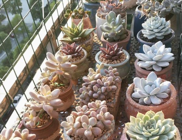 谜语游戏，十个指头春秋飞，提更高望更远