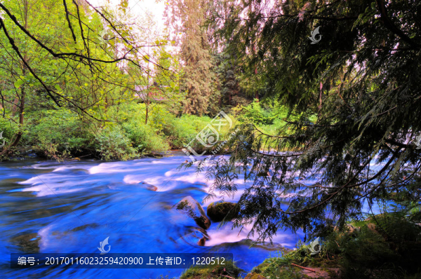 谜语教程:红英初绽倚春山，蓝溪绕岸水潺潺