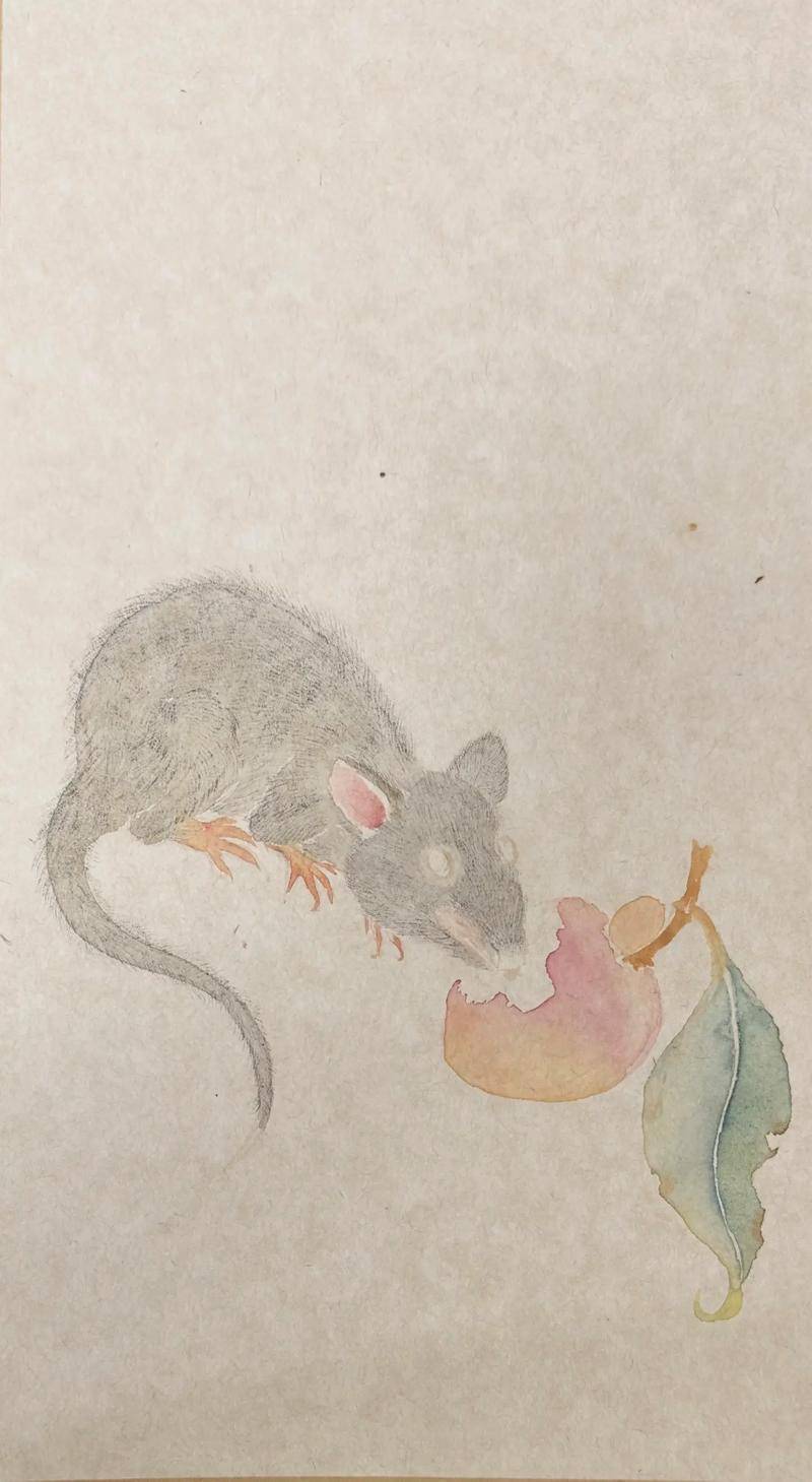 谜语变体:鼠钻牛角