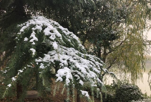 谜语实验，解码六月飞霜纷纷下，曾人透码观当时最佳