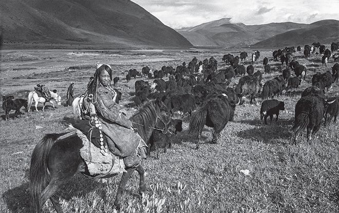 谜语传统,立場不定,如何服眾?君王視察北邊疆 谜语传统,立場不定,如何服眾?君王視察北邊疆