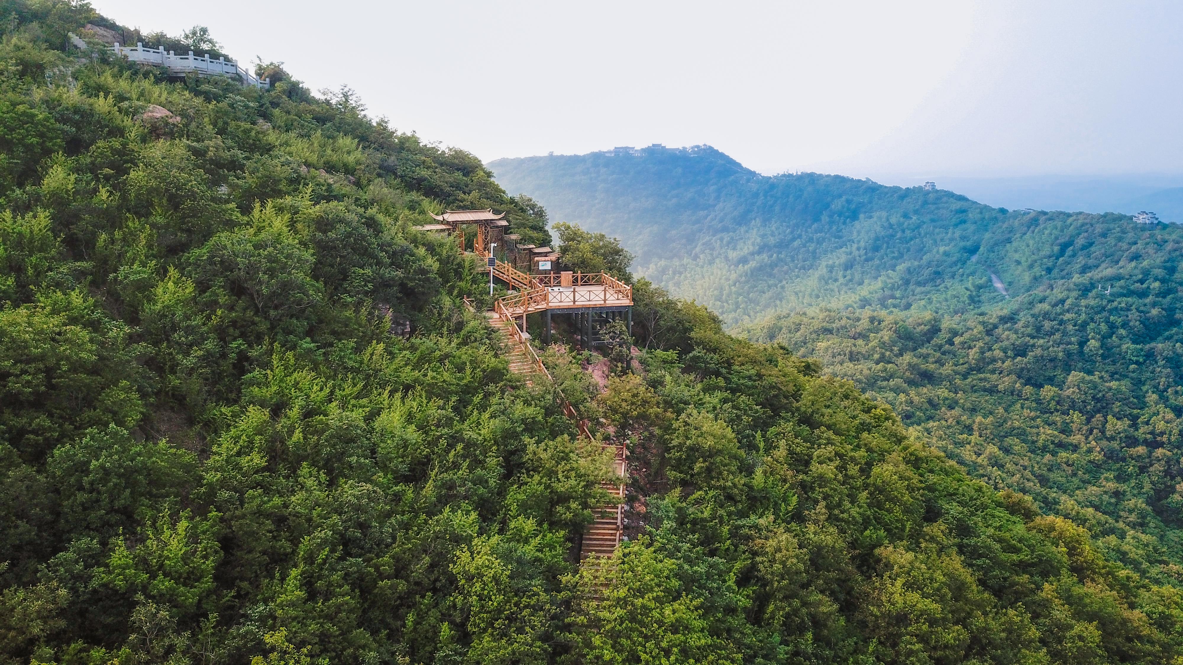 谜语时光，适者生存