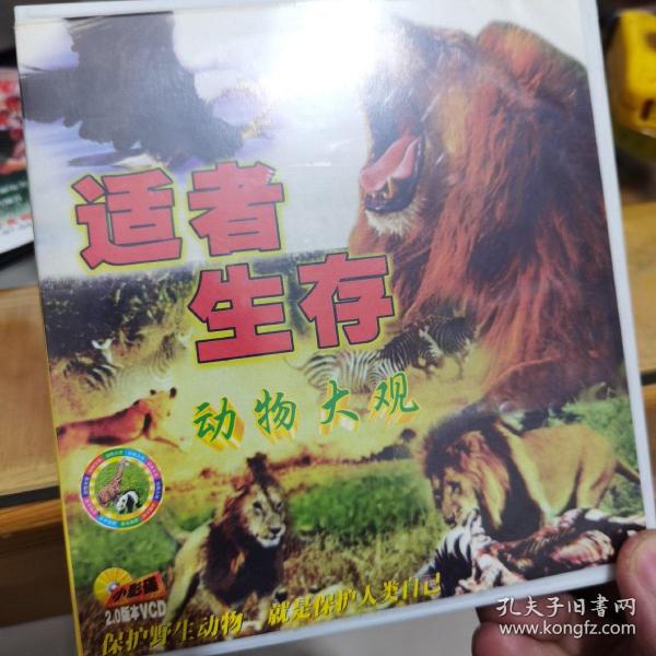 智力谜:适者生存