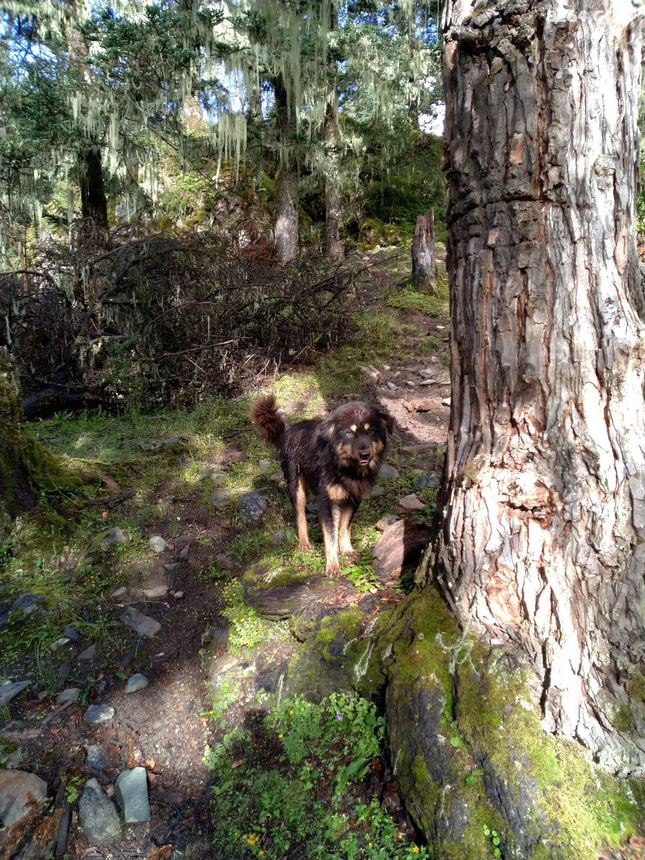 谜语时光，龙虎相随在门前，生死相冲看谁人