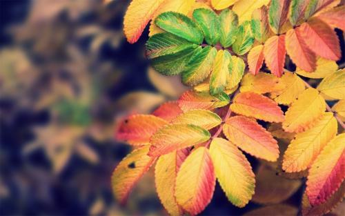 谜猜，岁月更迭—文学中的时间流转与生命感悟