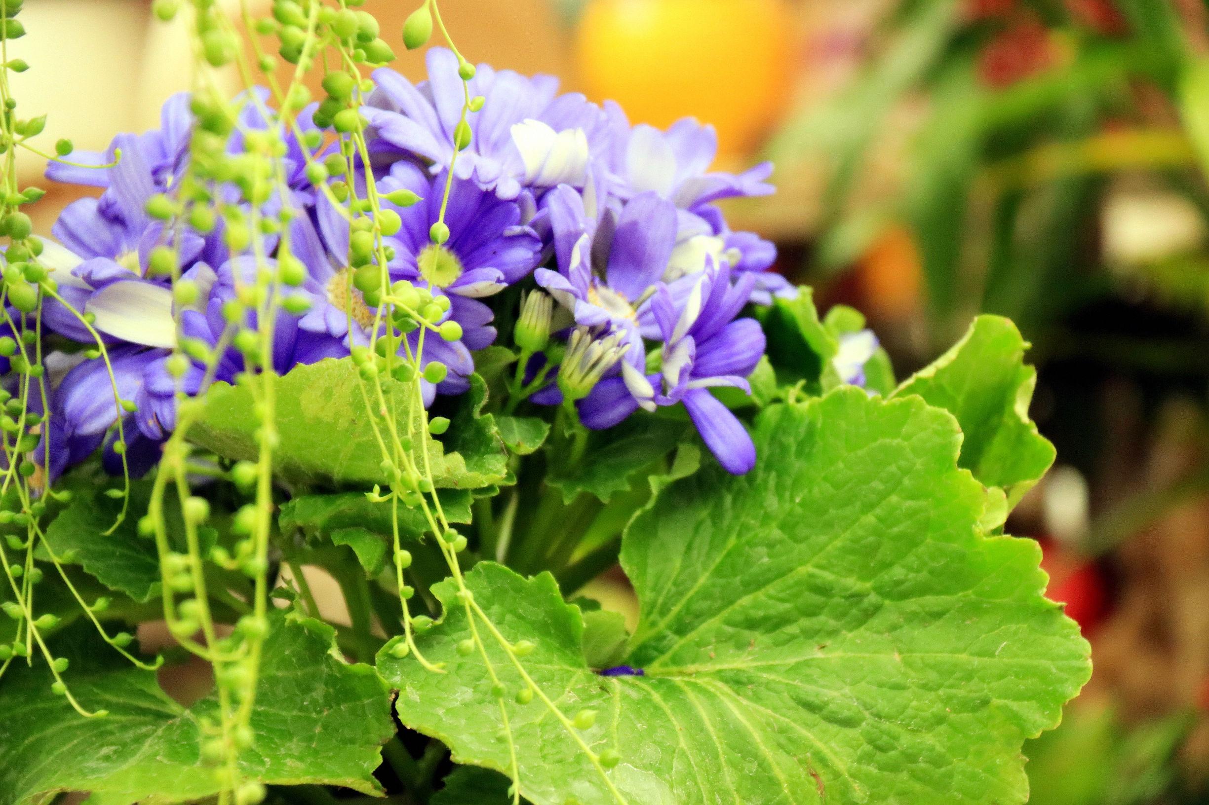 谜语时光，春意融融