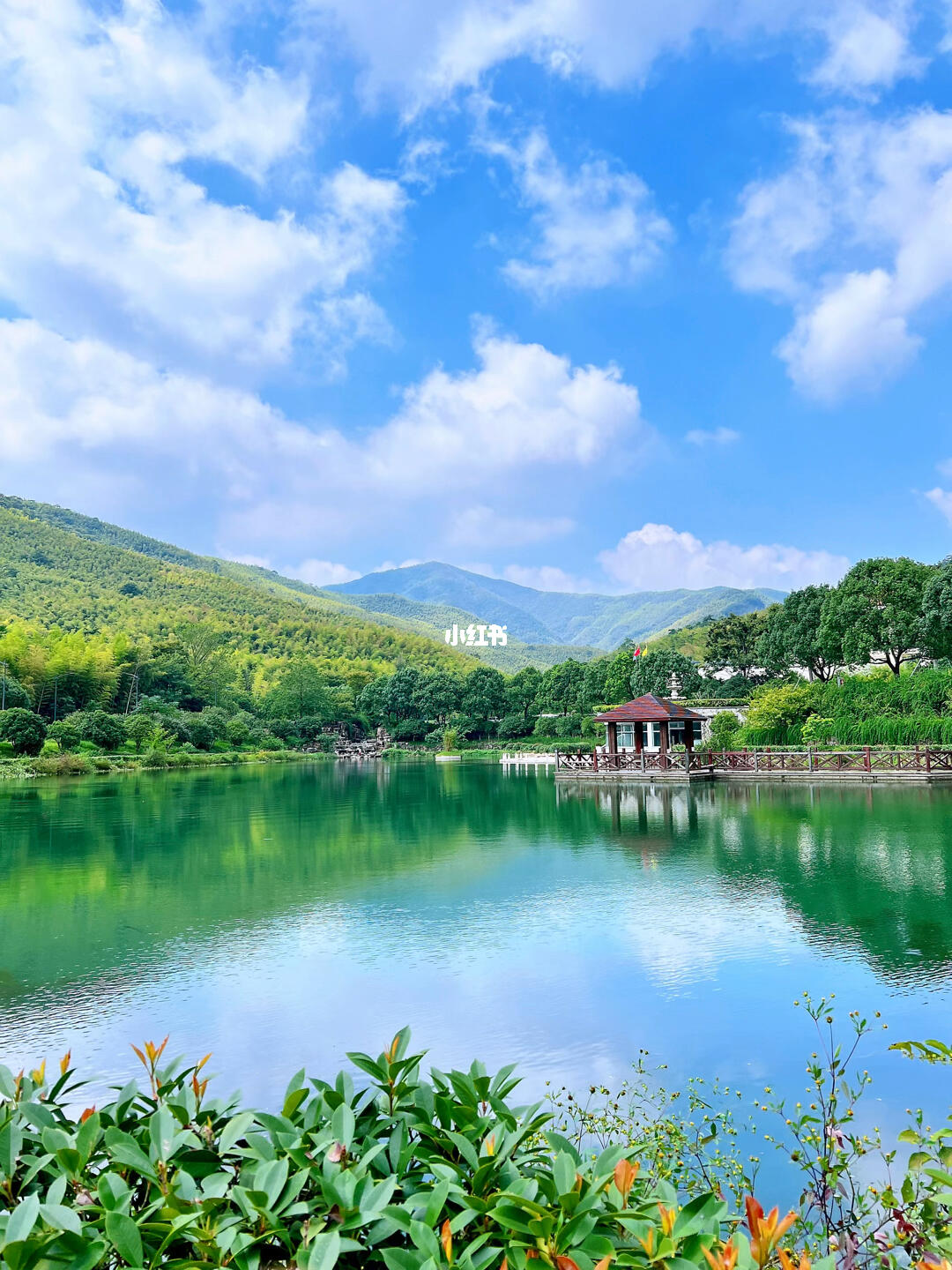 谜语活动，风流倜傥画如生，绿水青山美如画