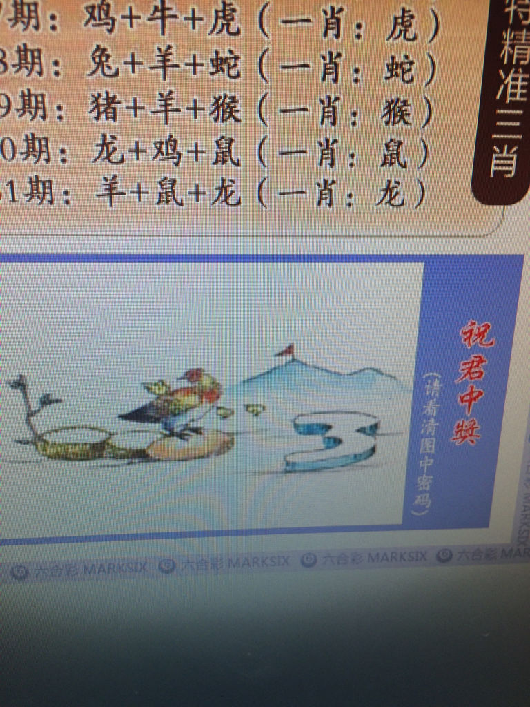 谜语体验，今期三六开，四大才子中状元