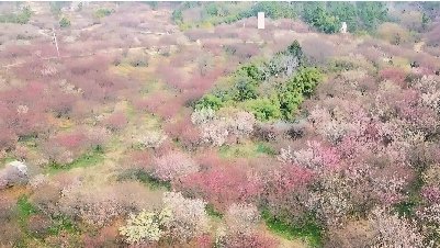 谜语应用，红英初绽倚春山，蓝溪绕岸水潺潺