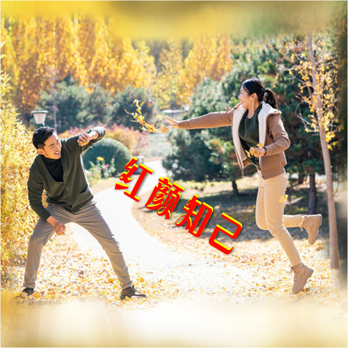 隐语，红粉知己—文学中的情感密码与女性形象探析