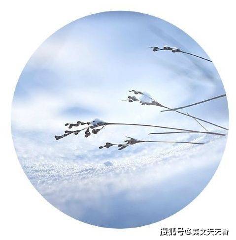 儿童谜语的魅力，探索背負重擔頂天踵地问梢头冷蕊疏疏的诗意世界