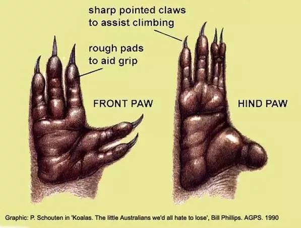 探秘十个指头之谜，穿越历史的文学与智慧之旅