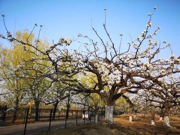 猛虎报资料库，免费资讯的海洋，助你乘风破浪的智慧引擎