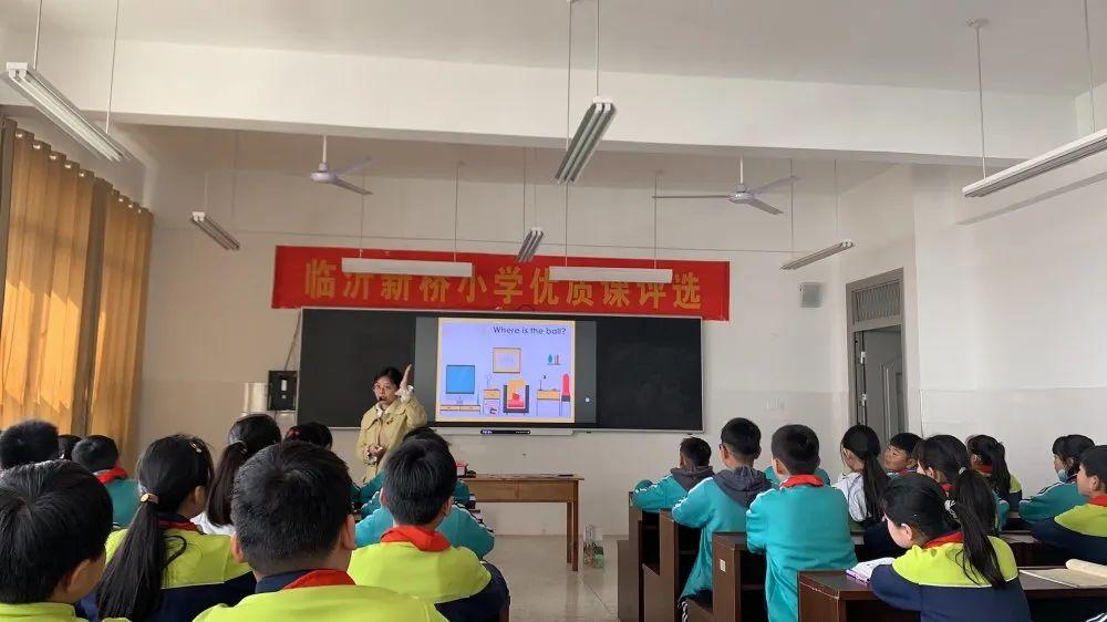 谜语教育，频苔嫩色涵波绿