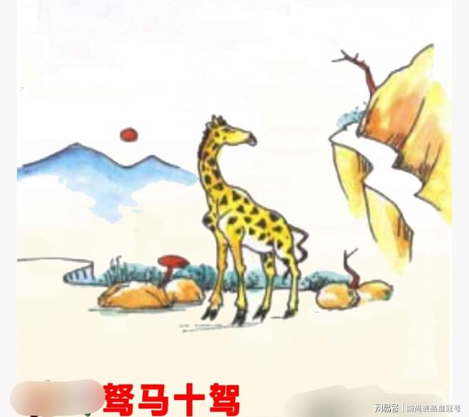 孝笋探秘，生肖谜语背后的科技与人文交响