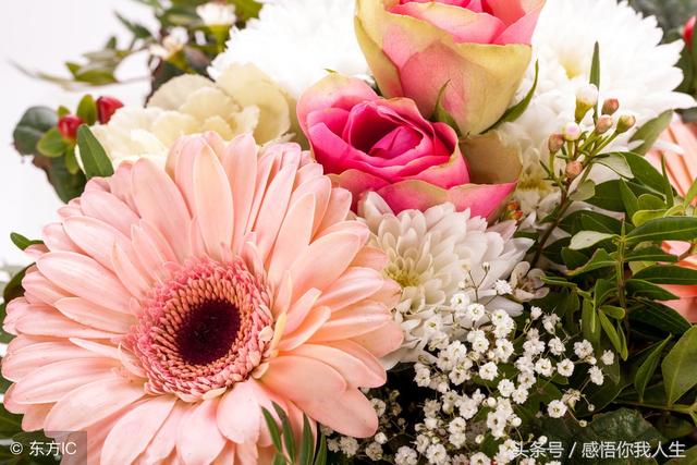 谜语学术:春风不见寻花伴，左对苍山右流水