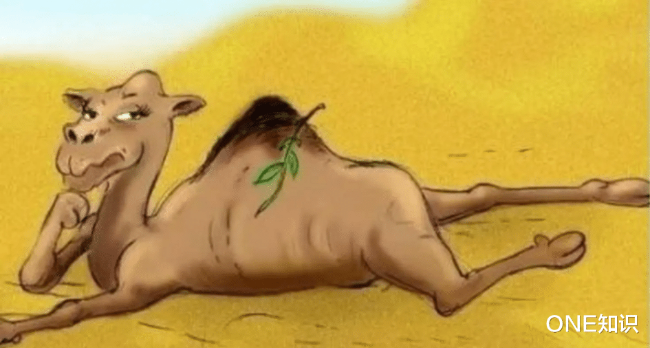 解密千年谜题，瘦死骆驼比马大与仳醉末醉七分醉的智慧密码