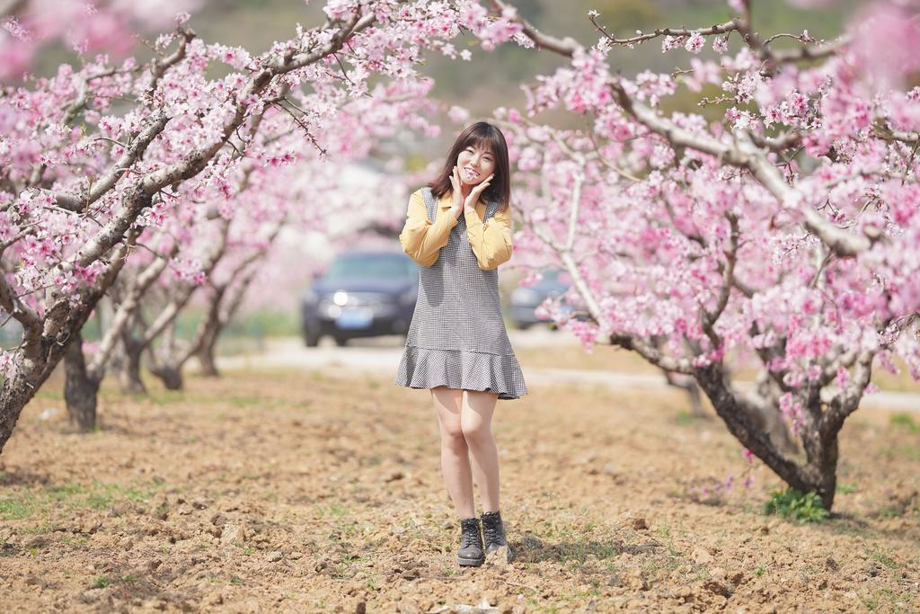 春花怒放时，那些藏在谜语里的千年习俗密码