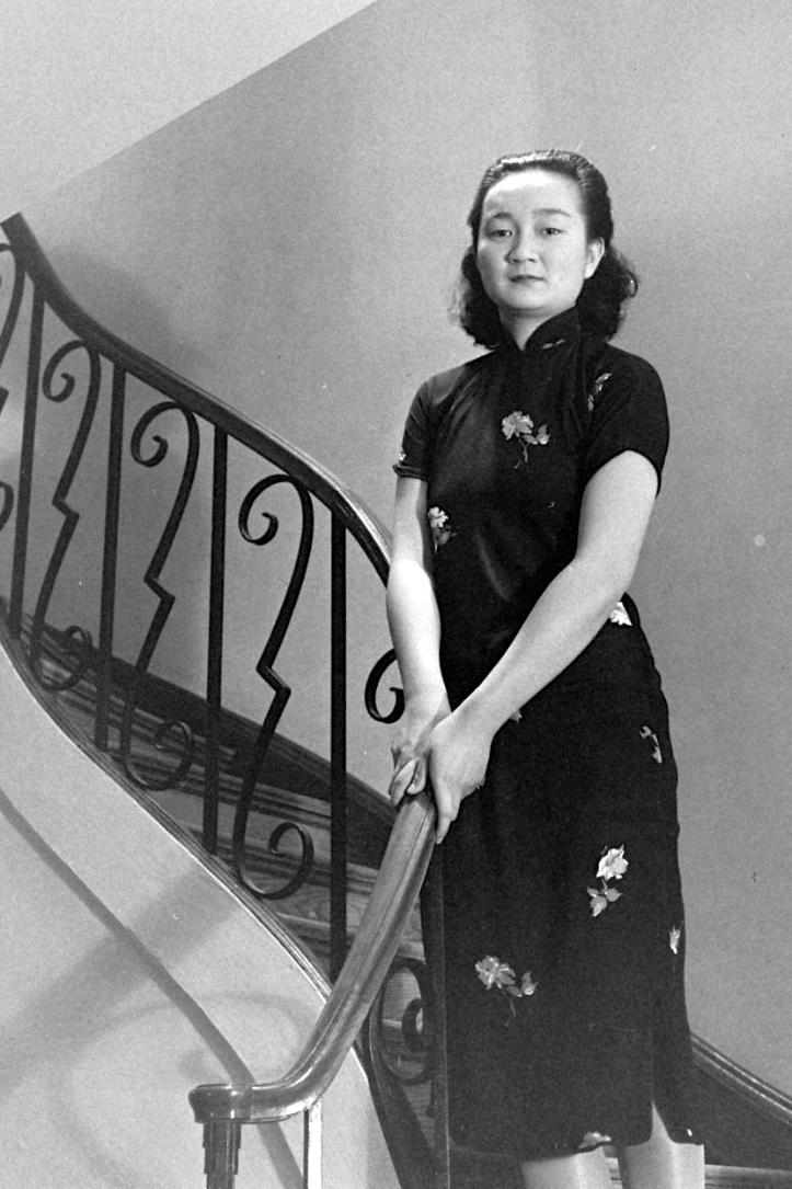 谜语测试，鼠钻牛角—文学教育者的深度解析