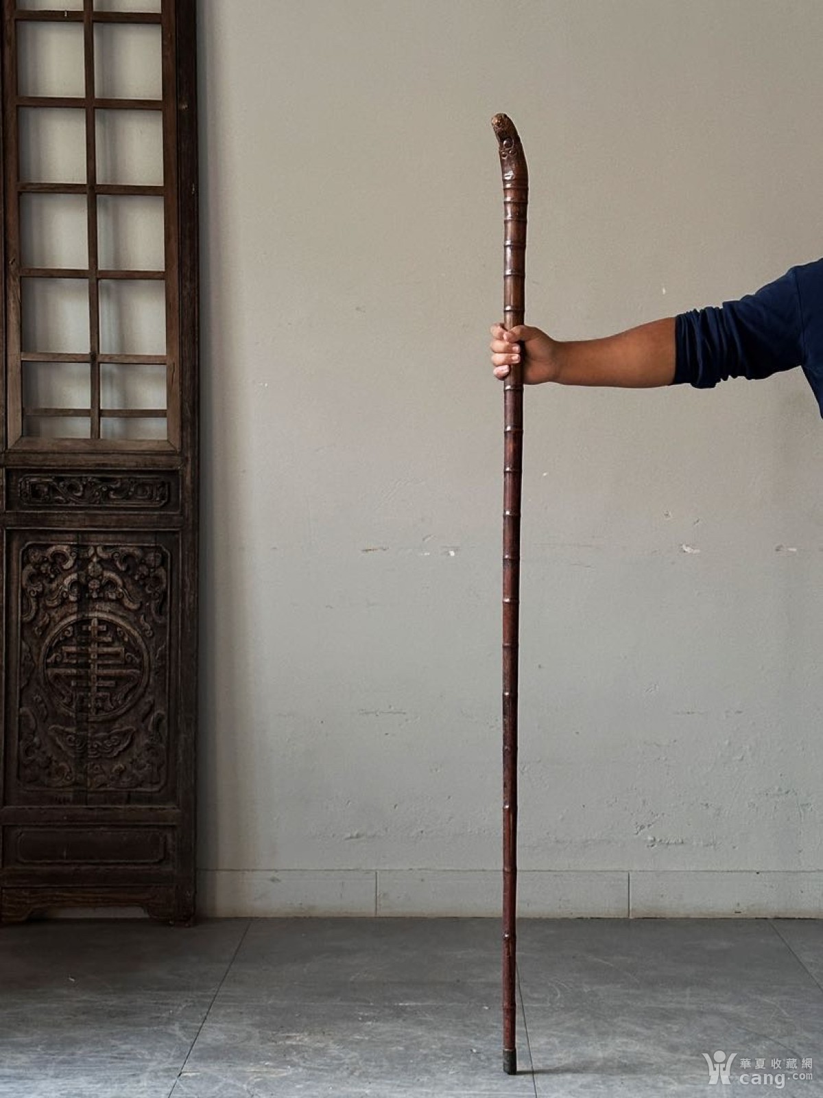 谜语时光:博弈猶賢，不識計較。安得仙人九节杖