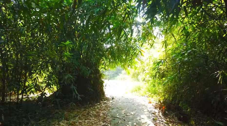 谜语探秘，六合将会变三合，要开合单也不难