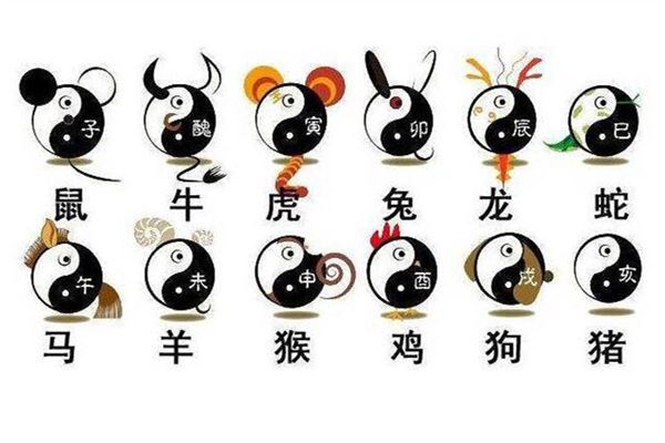 生肖谜题背后的文化密码与防诈指南